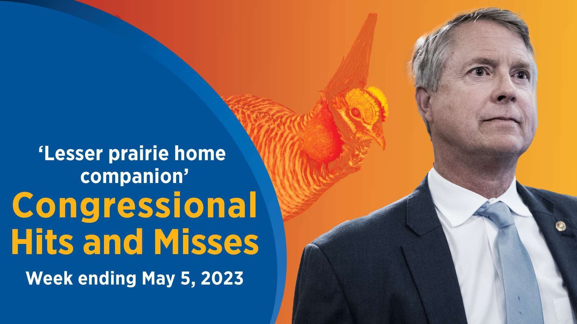 Sen. Roger Marshall led the charge in the Senate this week to overturn the Biden administration’s listing of the lesser prairie chicken as an endangered species. 