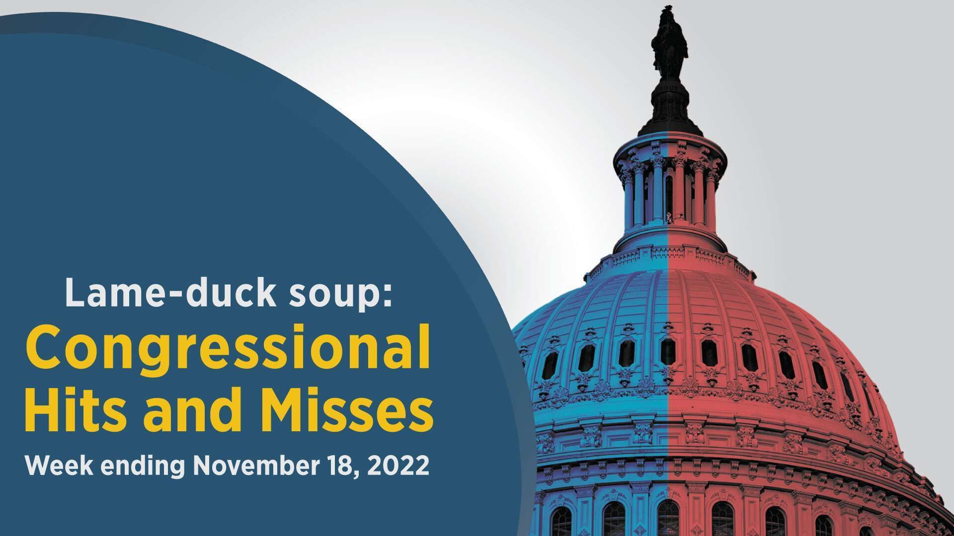 Congress returned this week to begin its lame-duck session before departing again for Thanksgiving break.