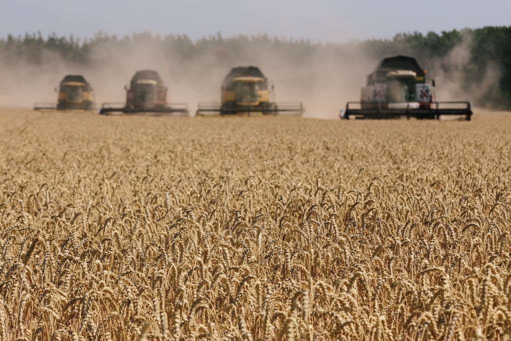 Harvesters at work in a Ukrainian wheat field in 2017.